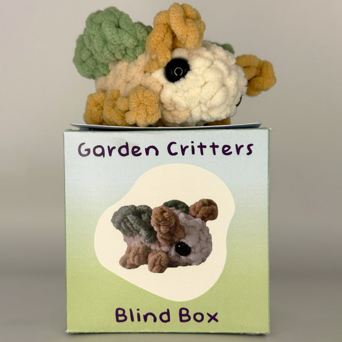 Crochet Bug Blind Box